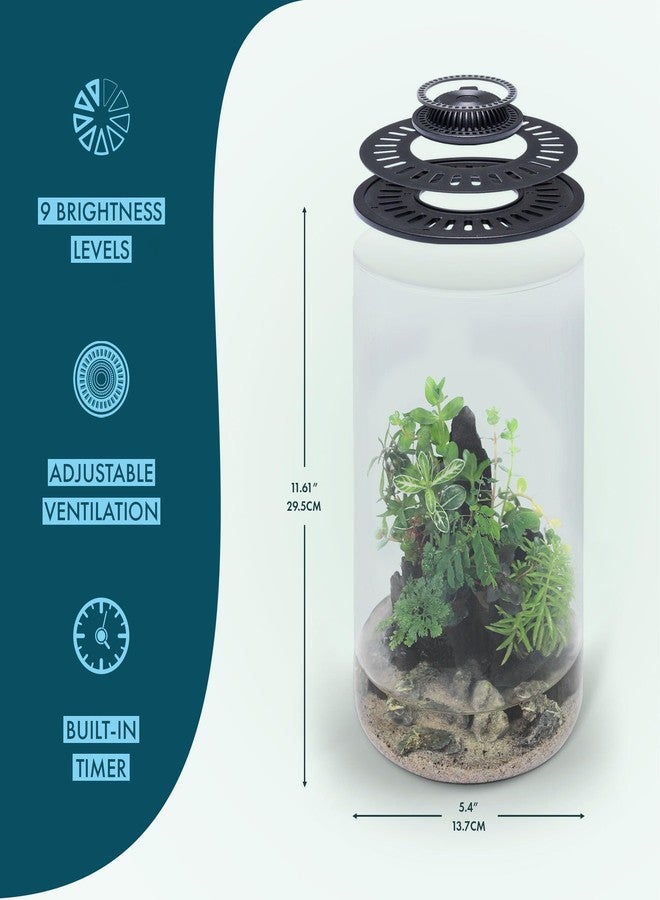 SubstrateSource Bio Cylinder - Glass Plant Terrarium Kit - Glass Terrarium w/LED Grow Light, Adjustable Ventilation Lid, Substrate, Moss & Accent Rocks - Bio Cylinder 150 - Image 5